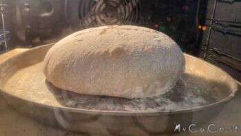 Pane semplice con farina 00, a prova di principiante – Impastato con il Companion  Moulinex